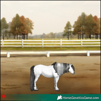 Horse Color:Gray Blue Roan Near Fewspot 