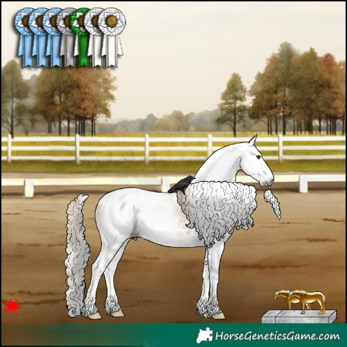 Horse Color:Gray White Spotted Red Dun Splash 