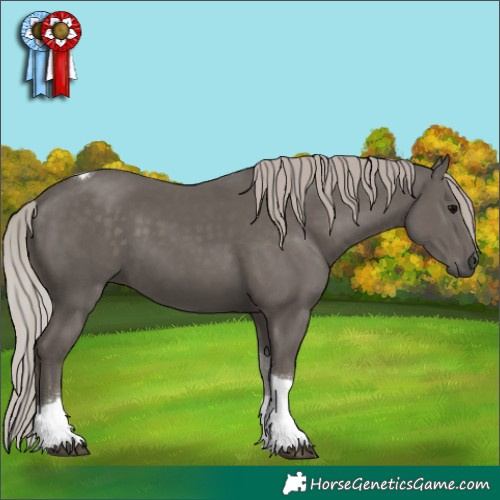 Horse Color:Silver Black Sabino Tobiano 