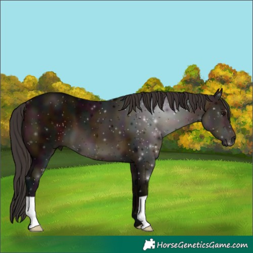 Horse Color:Midnight Brown 