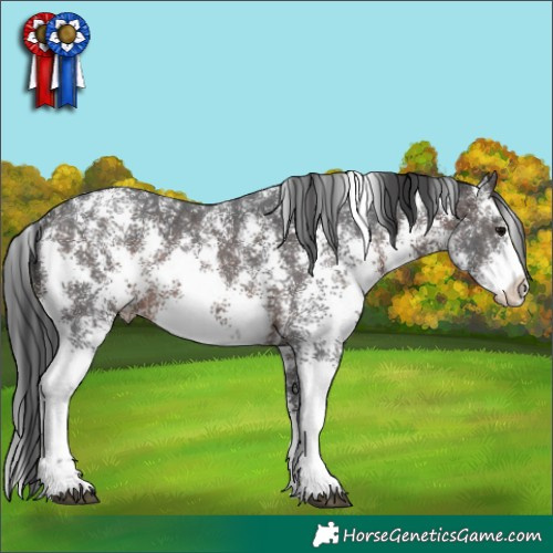 Horse Color:Brown Sabino 