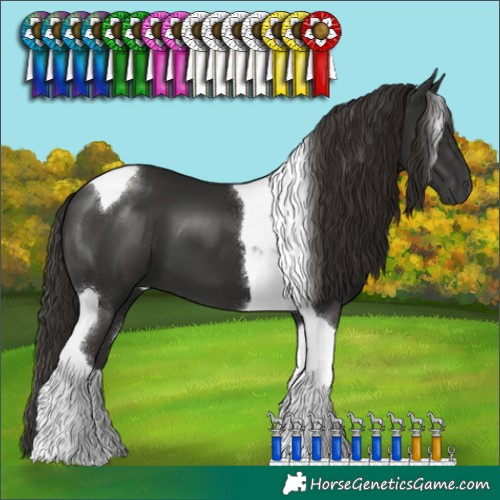 Horse Color:Liver Chestnut Tobiano 