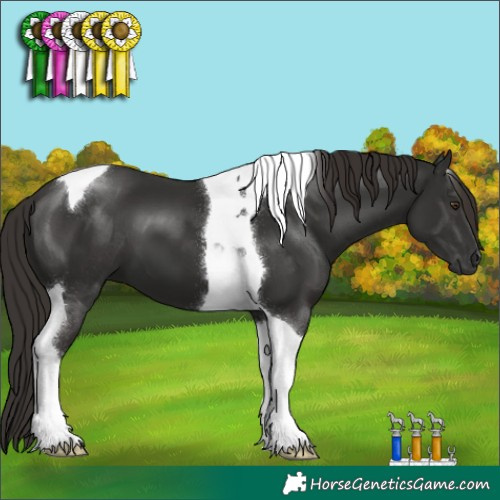 Horse Color:Liver Chestnut Tobiano 