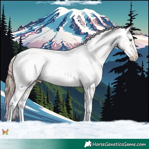 Horse Color:Nacre White Spotted Sable Champagne Dun Splash Appaloosa 