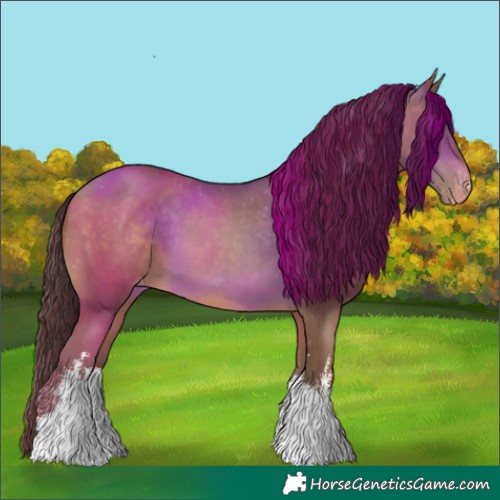 Horse Color:White Spotted Sable Champagne Varnish