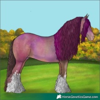 Horse Color:White Spotted Sable Champagne Varnish 