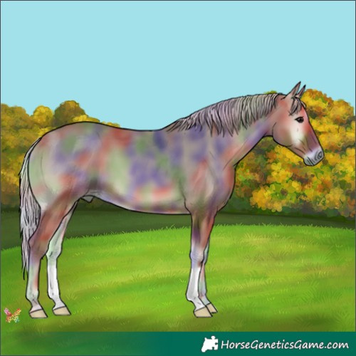Horse Color:Nacre Silver Blue Onyx 