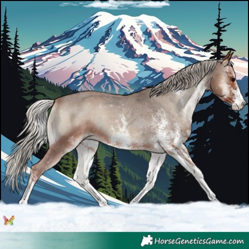 Horse Color:White Spotted Silver Blue Onyx Varnish 