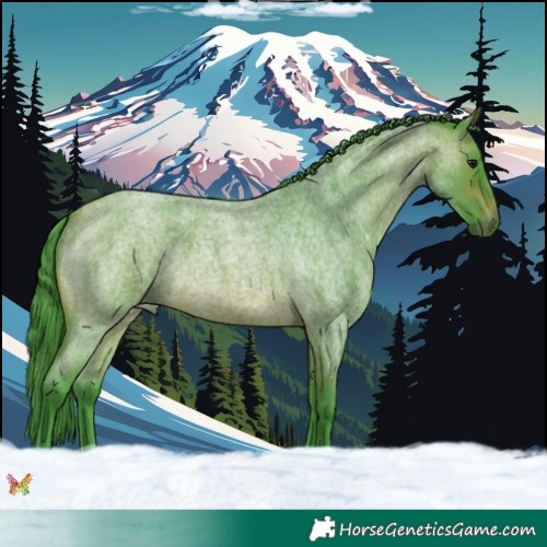 Horse Color:Watercolor Brown Roan 