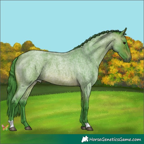 Horse Color:Watercolor Brown Roan 