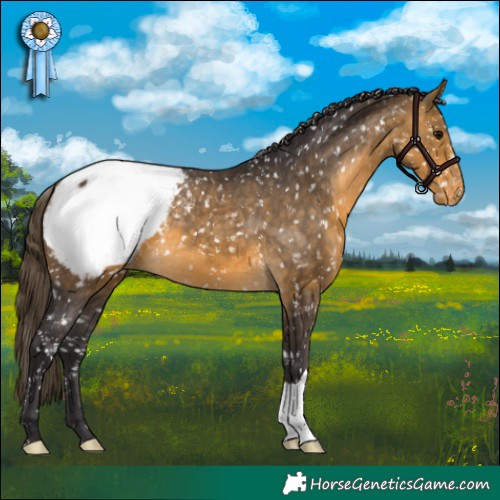 Horse Color:Buckskin Snowcap 