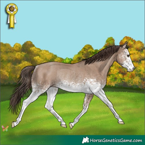 Horse Color:White Spotted Classic Champagne Rabicano 