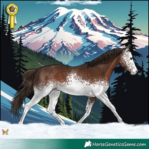 Horse Color:White Spotted Liver Chestnut 