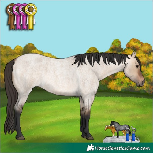 Horse Color:Bay Roan Dun 