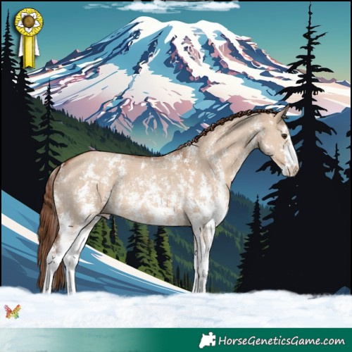 Horse Color:Red Dun Sabino 