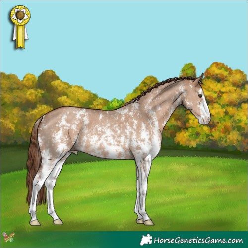 Horse Color:Red Dun Sabino 