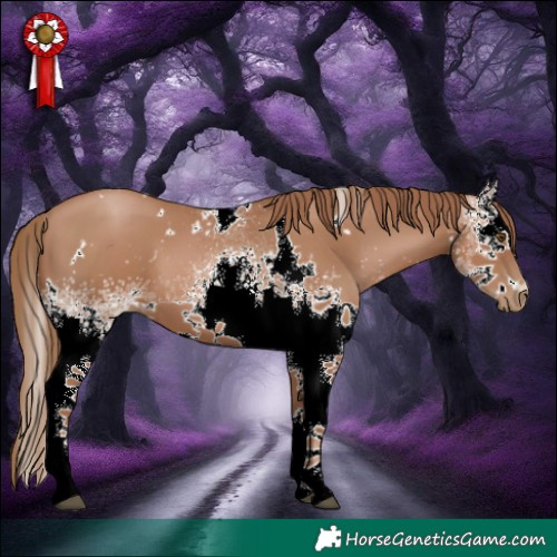 Horse Color:White Spotted Black Pearl 