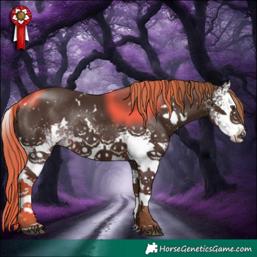 Horse Color:White Spotted Liver Chestnut Rabicano 