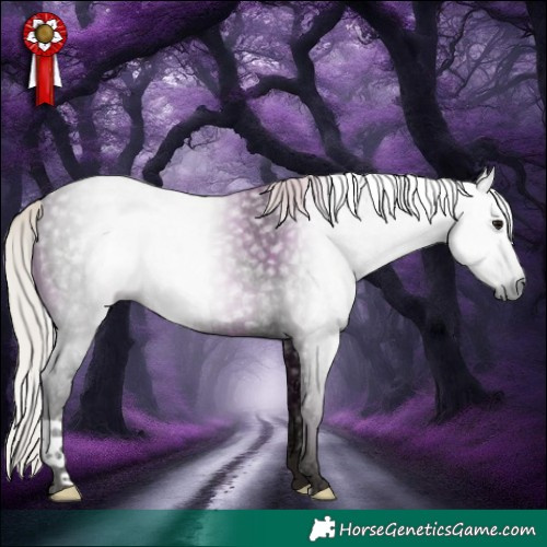 Horse Color:Gray Silver Black Ice 