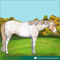Horse Color:Red Roan Splash Tobiano Frame Blanket 