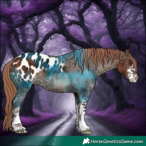 Horse Color:White Spotted Chestnut Ice Appaloosa 