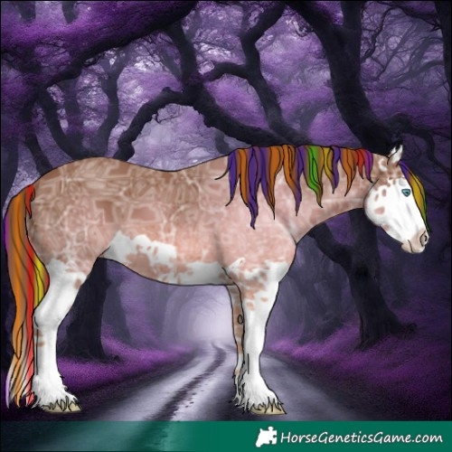 Horse Color:Painted Chestnut Ice Splash 