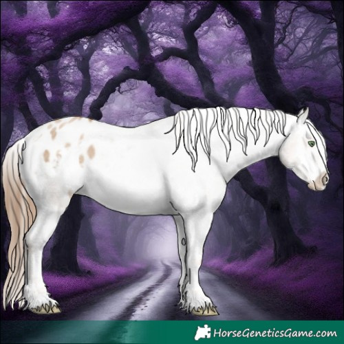 Horse Color:White Spotted Liver Red Dun Pearl Appaloosa 