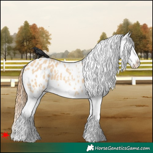 Horse Color:White Spotted Red Dun Blanket