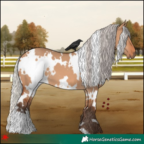 Horse Color:White Spotted Silver Bay Dun