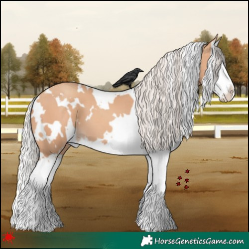 Horse Color:White Spotted Silver Amber Champagne Splash 