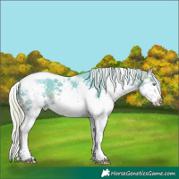 Horse Color:Watercolor Silver Brown Splash Tobiano