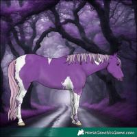 Horse Color:Watercolor Silver Smoky Black Tobiano