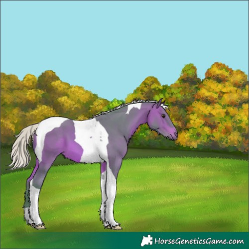 Horse Color:Watercolor Silver Bay Tobiano