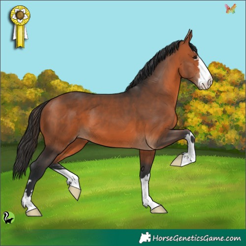 Horse Color:Brown 
