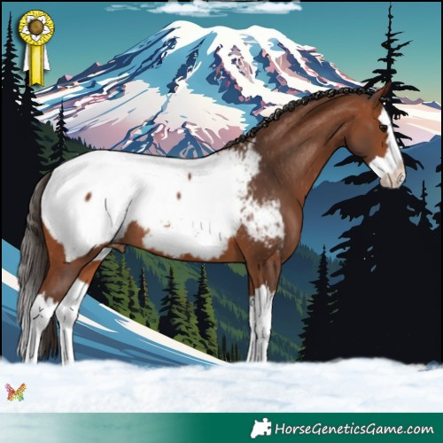 Horse Color:Bay Splash Near Fewspot 