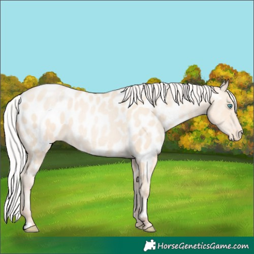 Horse Color:Silver Sable Cream Champagne Pearl Near Leopard