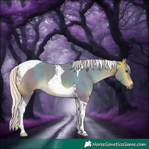 Horse Color:Watercolor Silver Buckskin Tobiano 