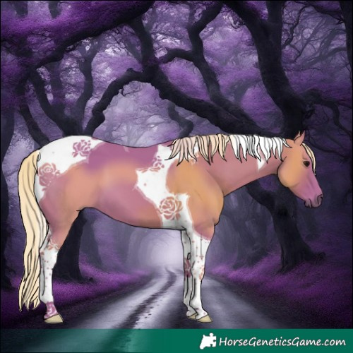 Horse Color:Watercolor Silver Smoky Black Tobiano 
