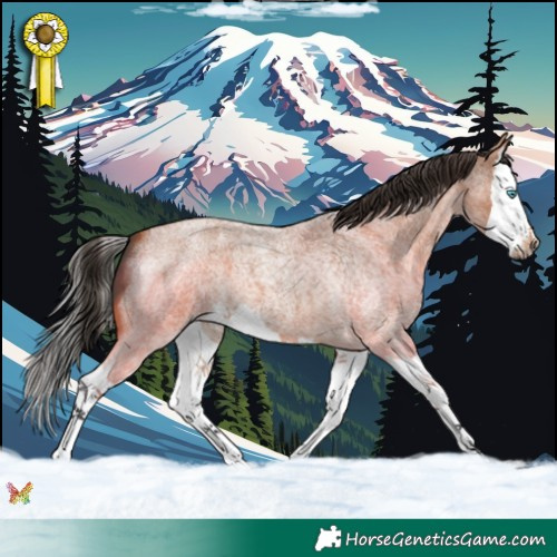 Horse Color:Bay Roan Splash 