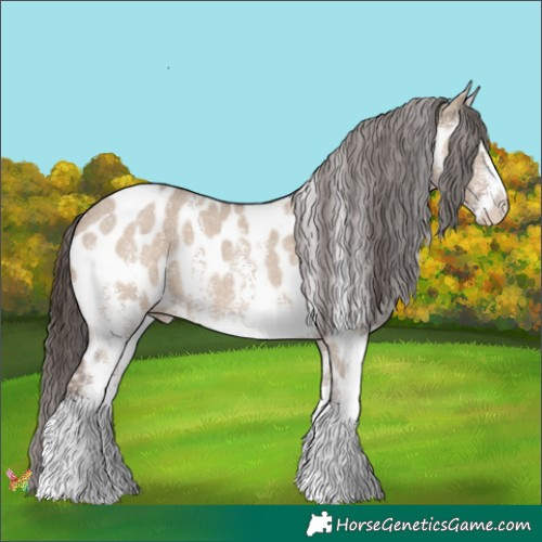 Horse Color:Liver Red Dun Sabino Appaloosa 