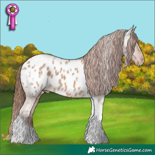 Horse Color:Red Dun Ice Tobiano Appaloosa 