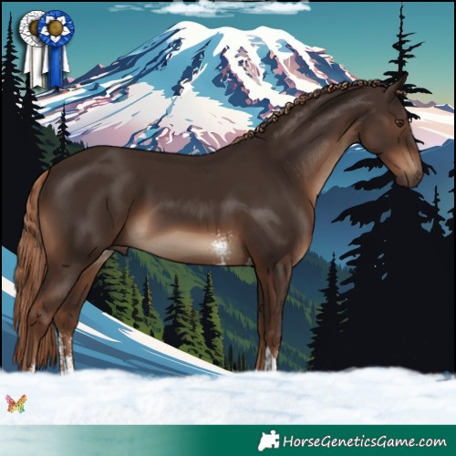 Horse Color:Liver Chestnut Sabino Tobiano 