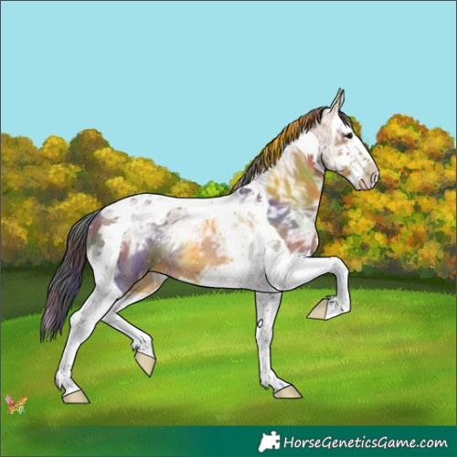 Horse Color:Nacre Brown Ice Splash Tobiano 