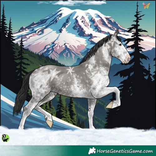 Horse Color:White Spotted Grullo Ice Rabicano 