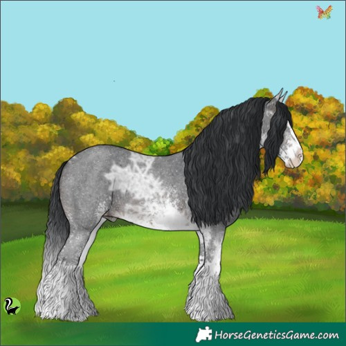 Horse Color:White Spotted Brown Ice Splash 