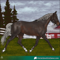 Horse Color:Silver Brown 