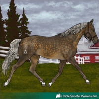 Horse Color:Silver Buckskin 