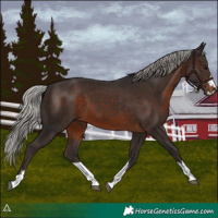 Horse Color:Silver Brown 