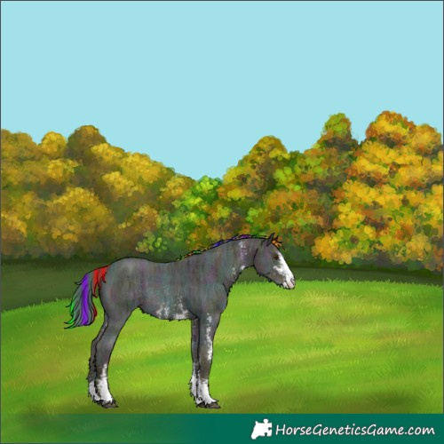 Horse Color:Painted Midnight Chestnut Ice Sabino Rabicano 