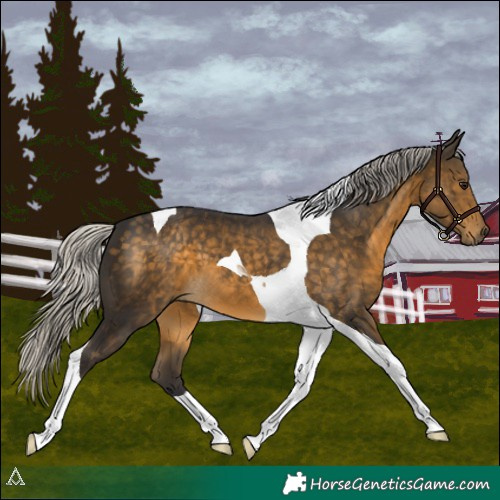 Horse Color:Silver Buckskin Tobiano 